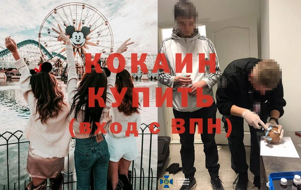 ГАЛЛЮЦИНОГЕННЫЕ ГРИБЫ Осташков
