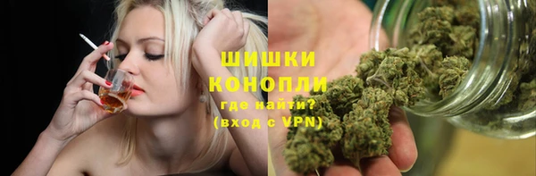 ГАЛЛЮЦИНОГЕННЫЕ ГРИБЫ Осташков