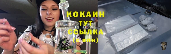ГАЛЛЮЦИНОГЕННЫЕ ГРИБЫ Осташков