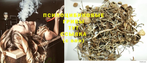 MDMA Осинники
